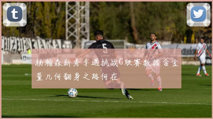 杨瀚森新秀季遇挑战G联赛数据含金量几何翻身之路何在