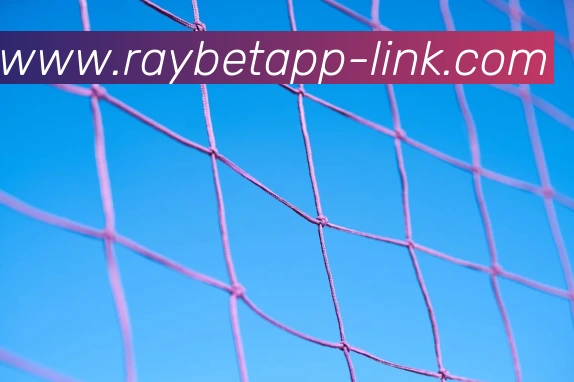 RAYBET(雷电竞)官方授权电竞信息服务中心品牌故事