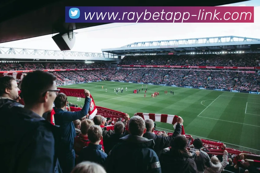 RAYBET(雷电竞)官方授权电竞信息服务中心服务体系